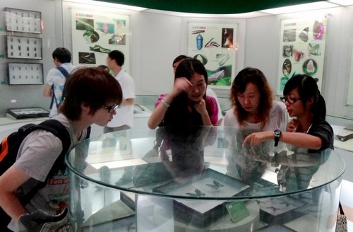Little guides show in XTBG Museum