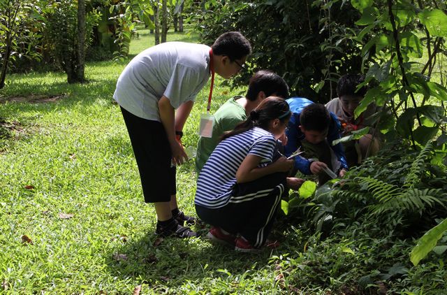 Kids and teens enjoy nature at XTBG