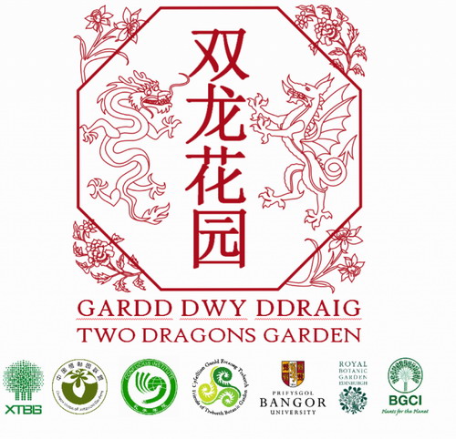 Two Dragons Garden
