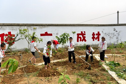 Reintroduction of plant species to natural habitat on a 'holy hill' near Mangyangguang village, Xishuangbanna