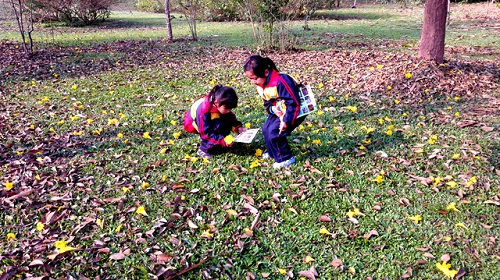 Nature journaling increases environmental awareness of children