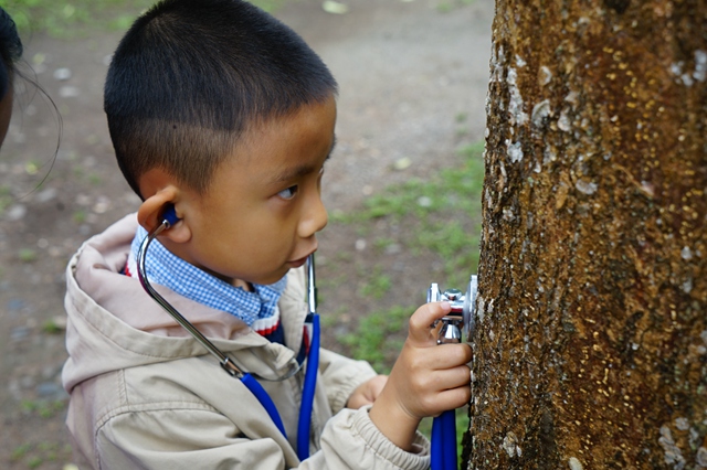 Kids enjoy great outdoors at XTBG