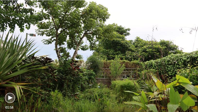 The eco-school near China's southwest border