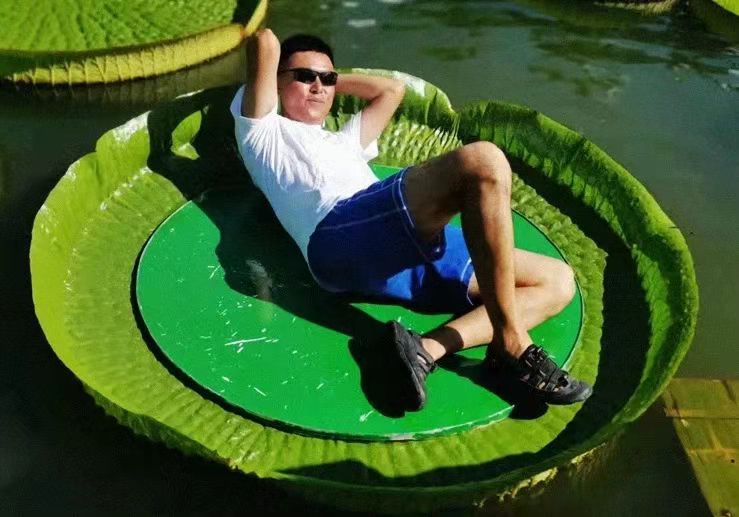 Welcome to sit on leaves of Victoria water lily in Xishuangbanna Tropical Botanical Garden