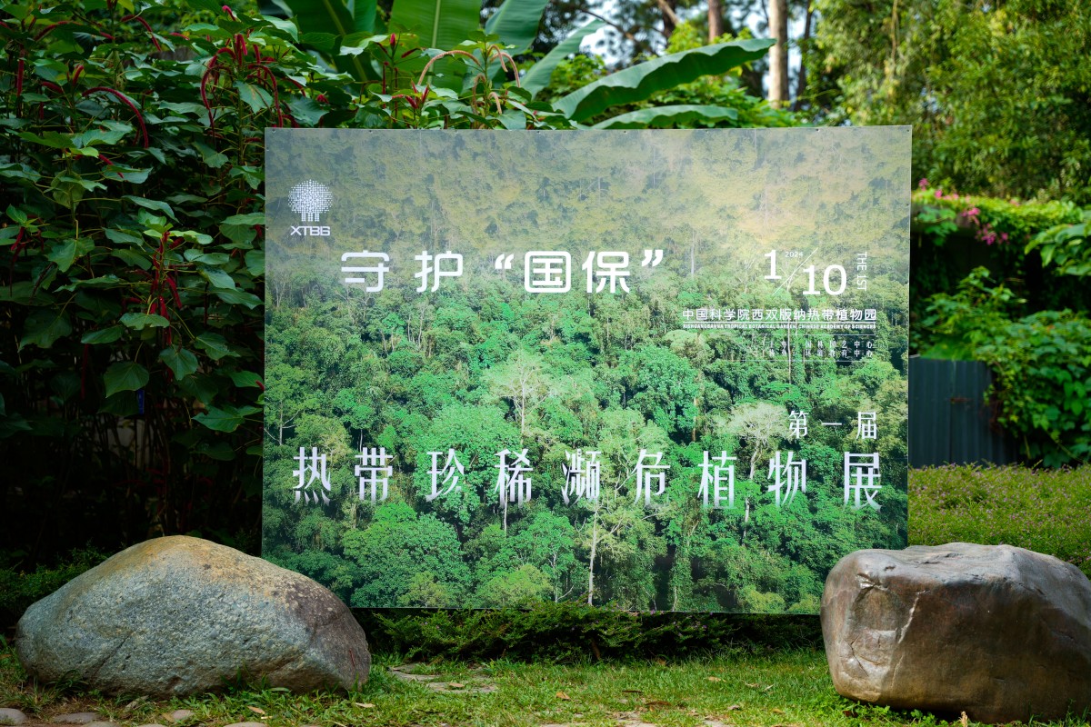 Rare and endangered tropical plants on display