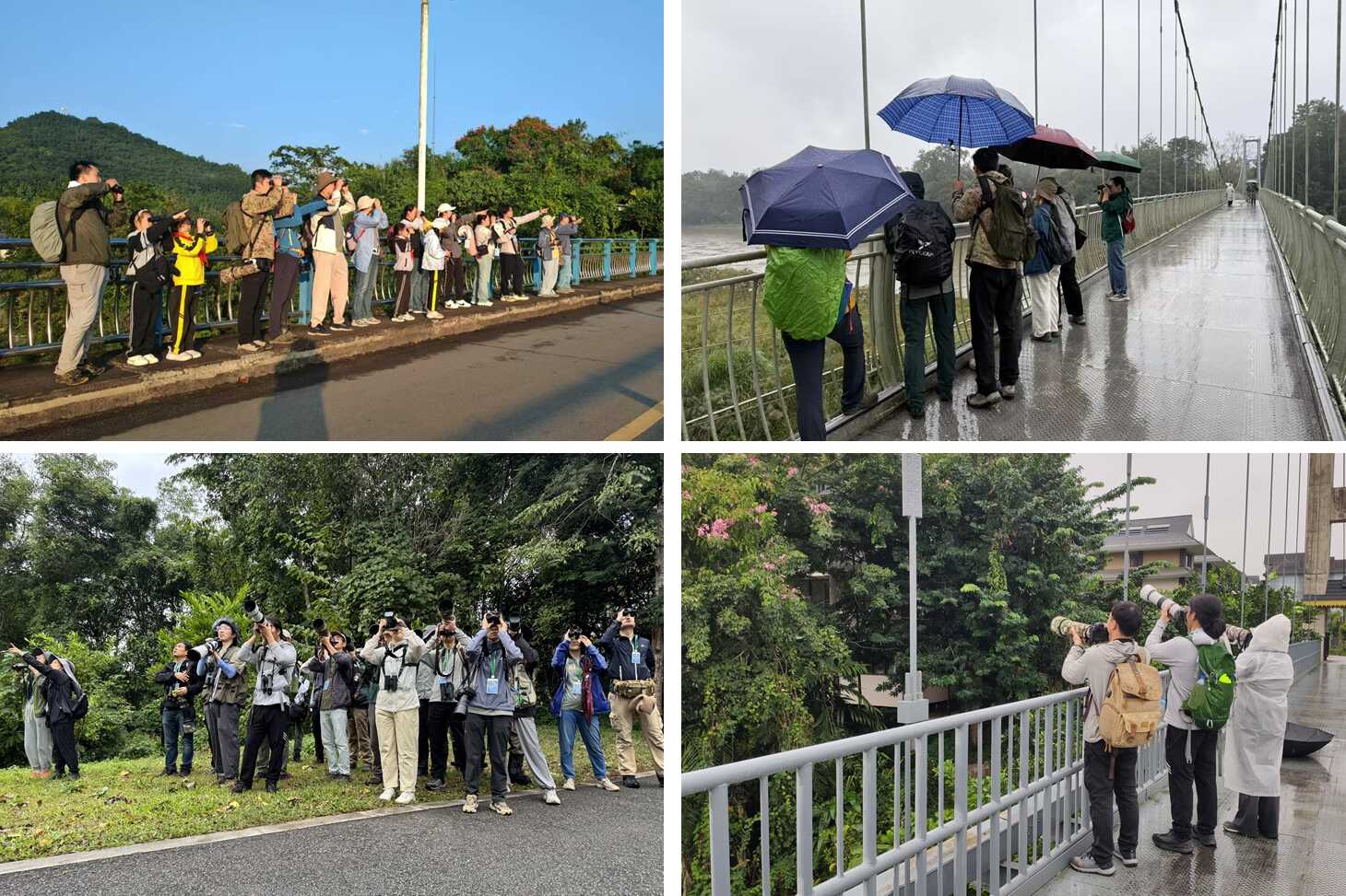 2 new bird records--12th XTBG Birding Festival