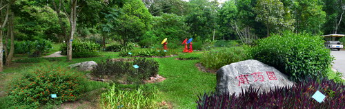 Medicinal Plant Garden