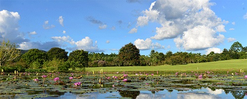 The 4th Xishuangbanna International Symposium - Saving All the Plants in a Changing World