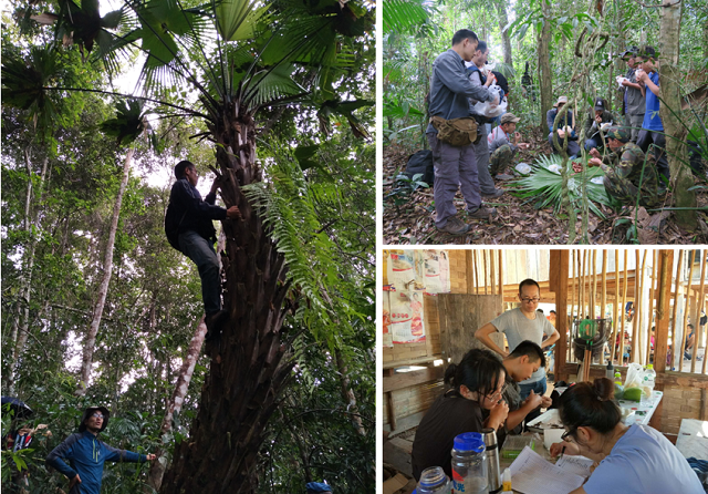 The second biodiversity investigation in northern Lao PDR completed