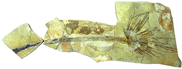 New insights into the geographical landscape of prehistoric central Tibet