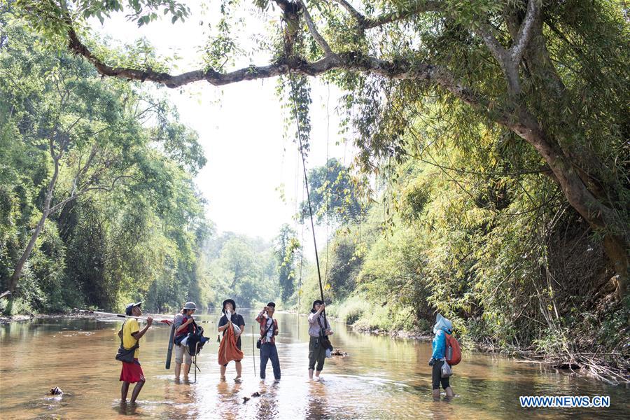 China-Myanmar research team completes biodiversity survey