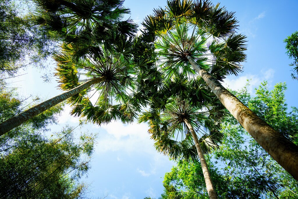 What makes Xishuangbanna one of the best regions to visit in 2022?