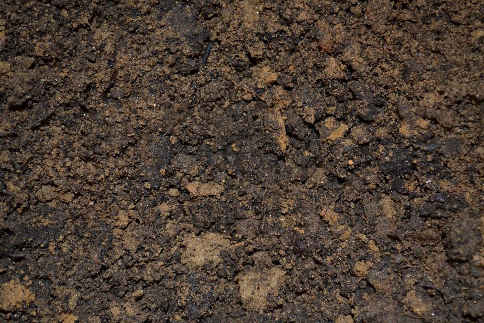 Microbes are recruited in soil environment according to ecosystem demand