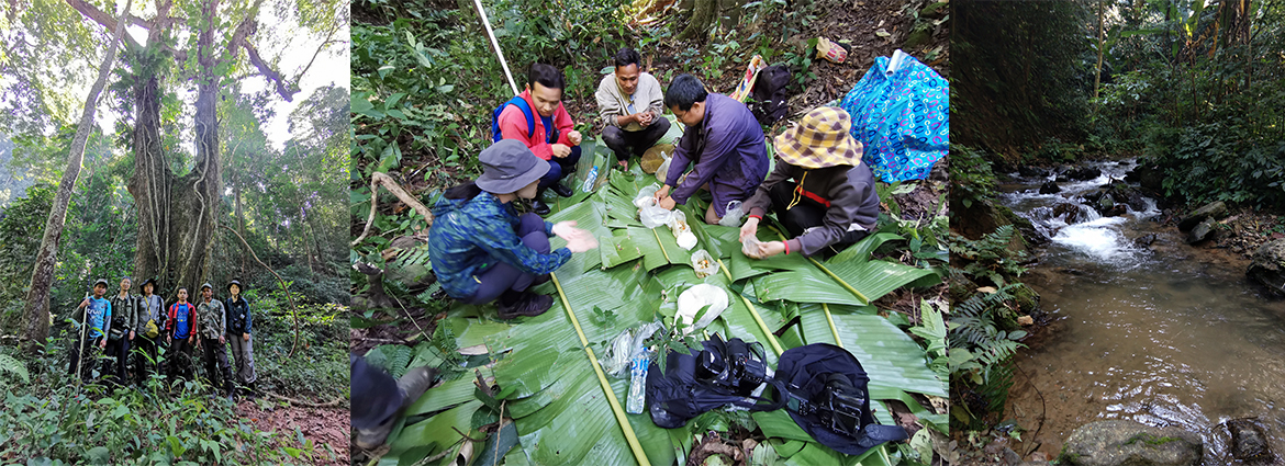 XTBG completes fourth China-Lao transboundary biodiversity investigation