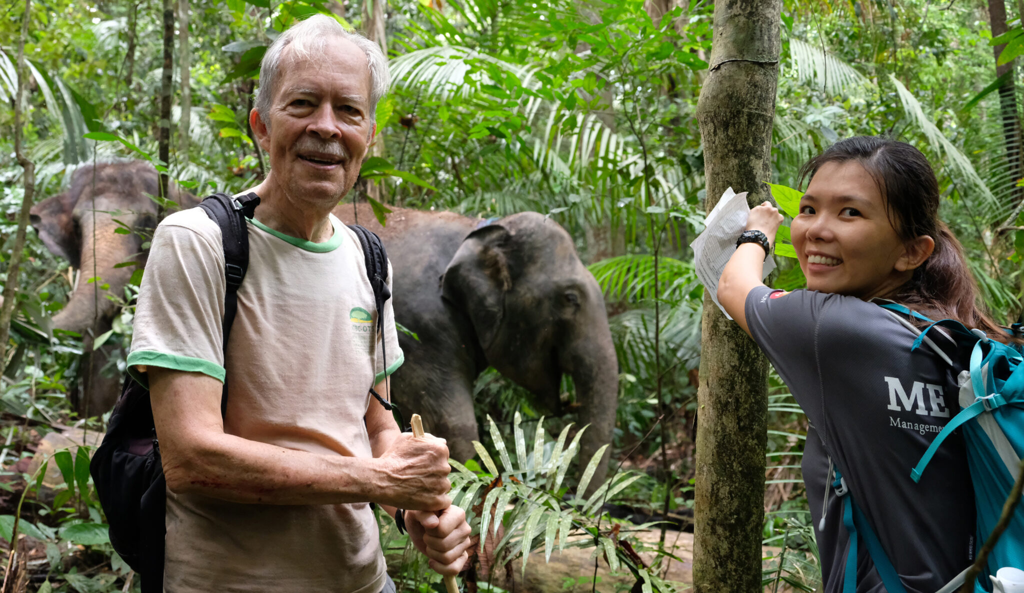 Asian elephants’ picky diet helps shape their forest home, study shows