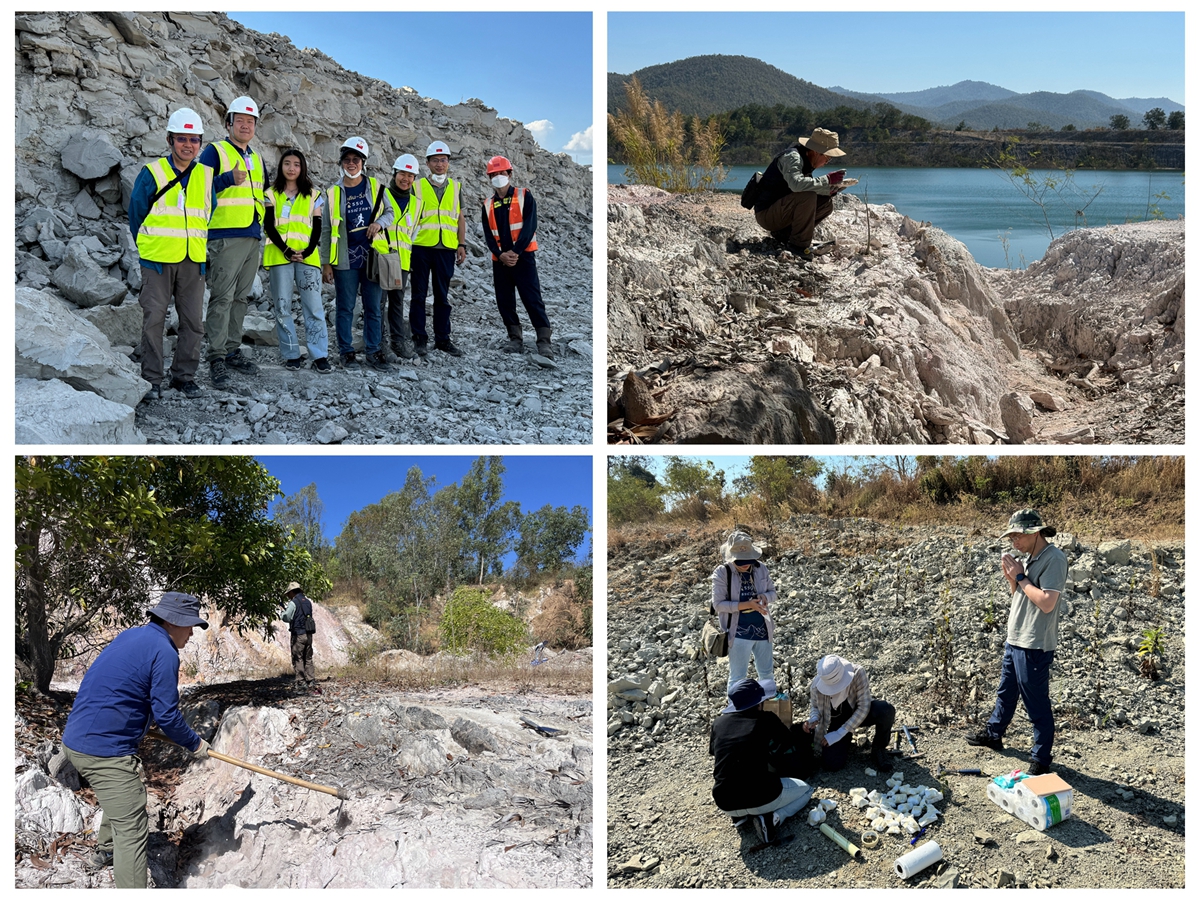 XTBG completes first joint investigation of the Cenozoic fossil plant group in Thailand