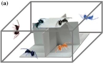 Jumping spiders reduce aggressiveness after perceiving mirror cues