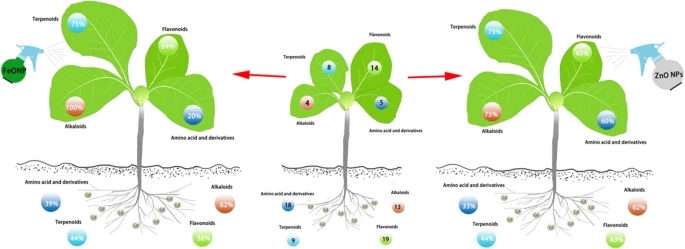 Metal nanoparticles can serve as plant growth regulators
