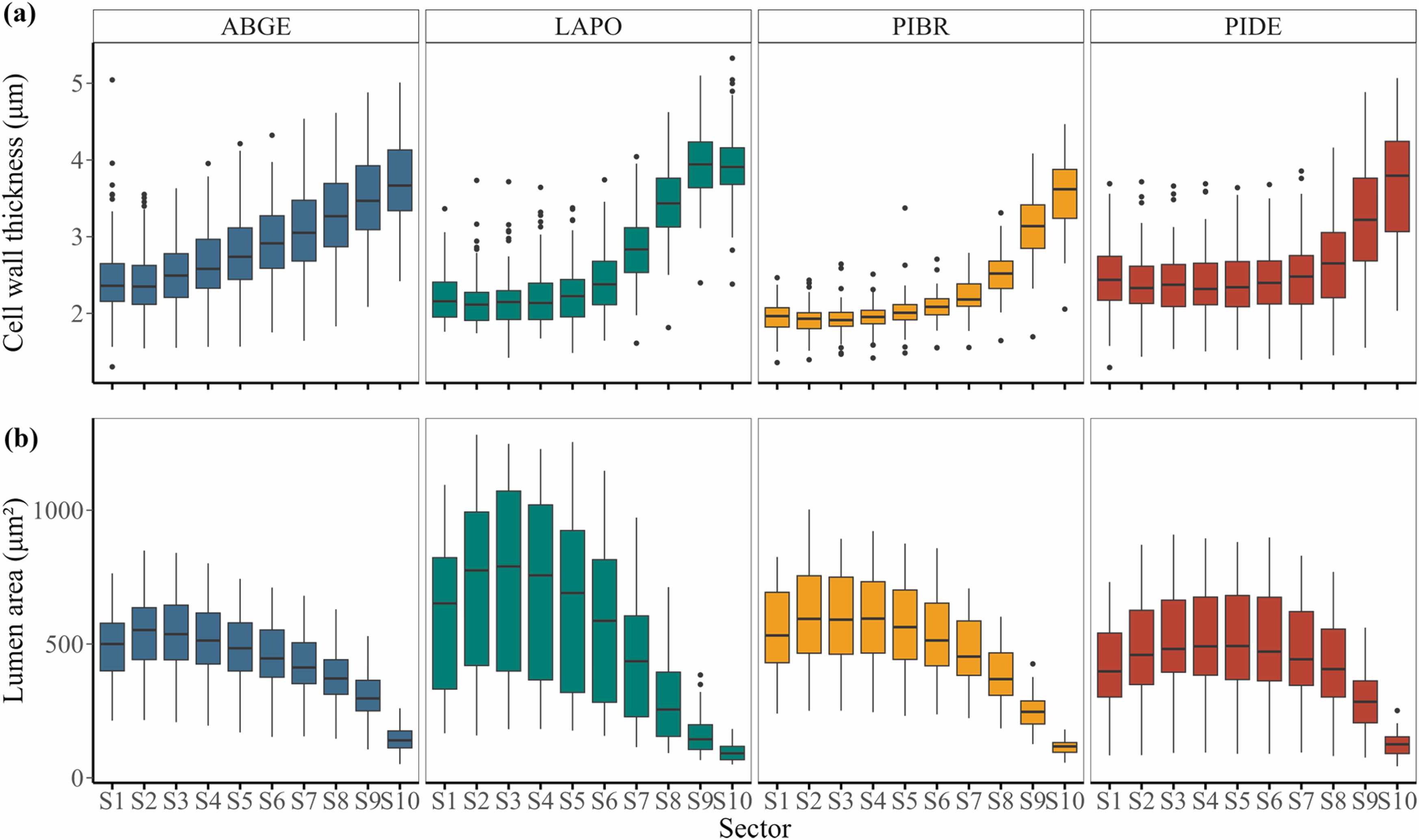 How Do Climatic Factors Impact Wood Formation at Cellular Level in Hengduan Mountains?