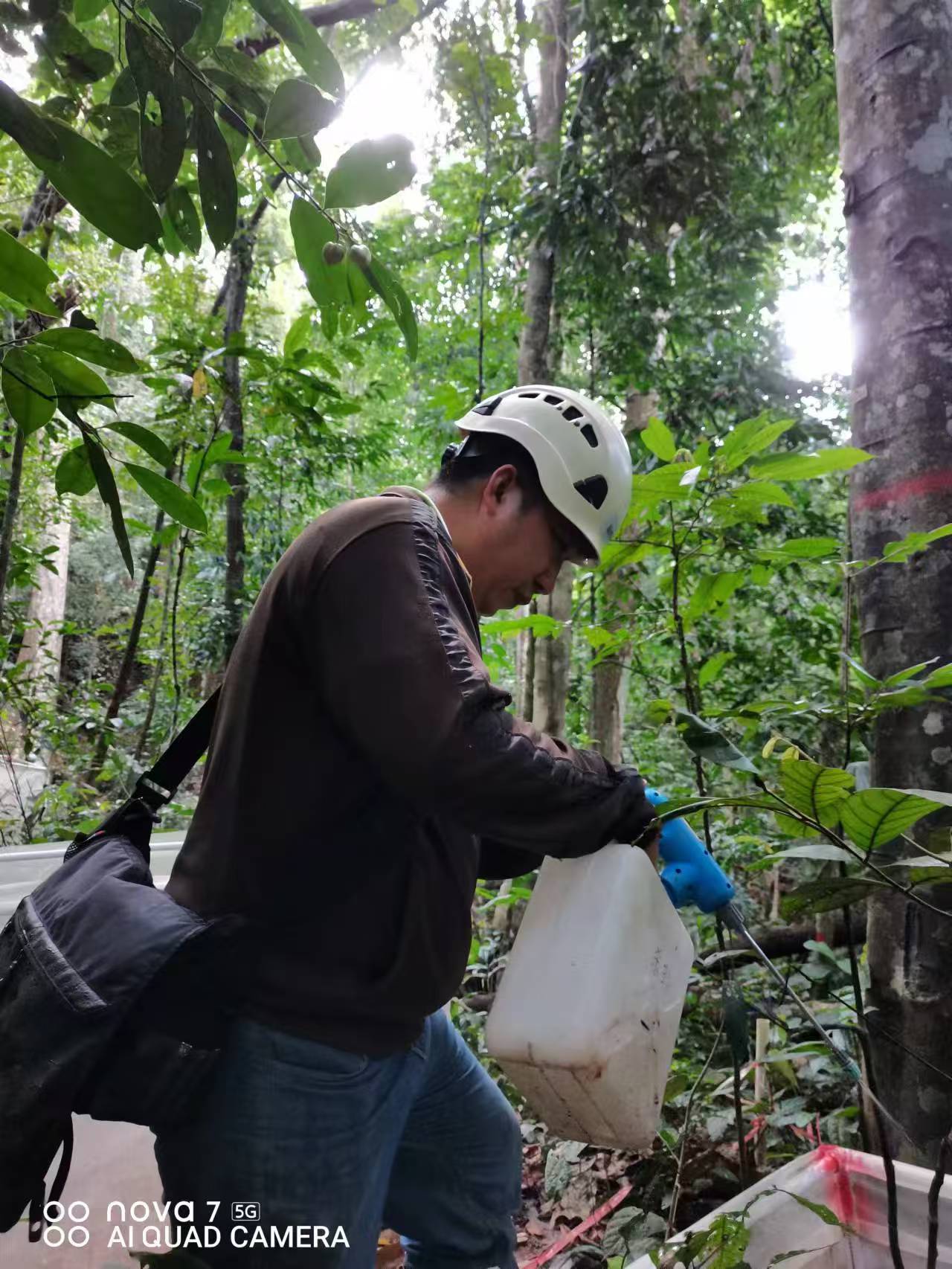 Fungicides Enhance Native Plant Survival and Community Productivity but Reduce Diversity
