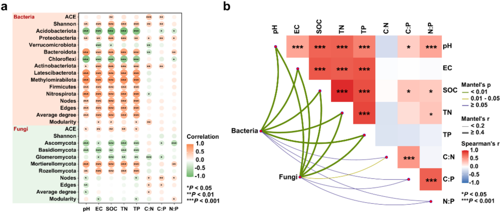 Soil Microbes Play Key Role in Improving Soil Health During Forest Restoration