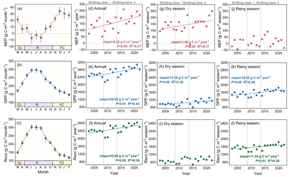 Protected tropical rainforest in Xishuangbanna shows growing carbon sink over 20 years
