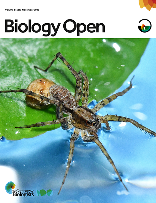 Wolf spider mothers show remarkable flexibility in egg care and risk response