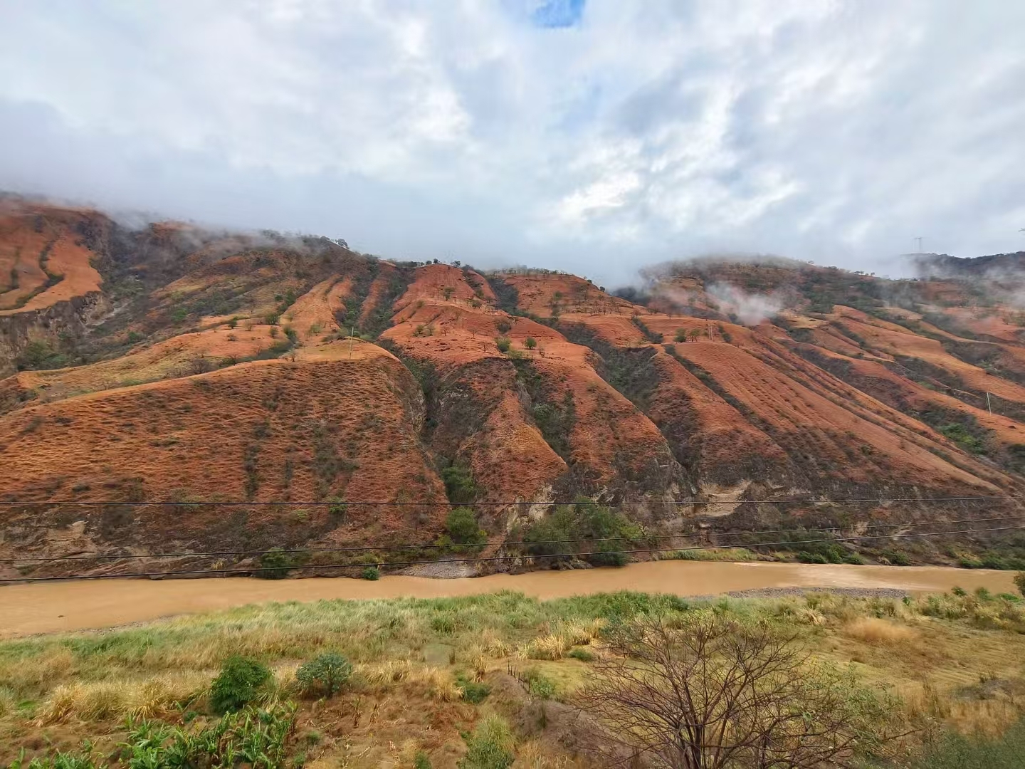 Extreme Droughts Cause Long-Term Changes in Savanna Vegetation