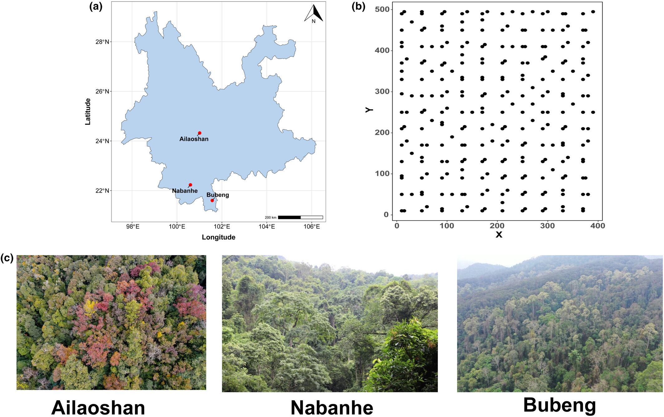 What Shapes Spatial Distribution of Key Phosphorus-cycling Gene in Forests?