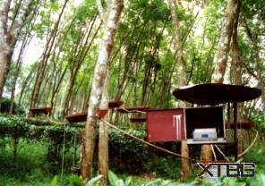 Xishuangbanna Tropical Rainforest Ecosystem Station